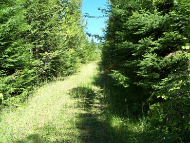 Road to 2nd bldg site