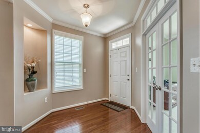 42246 Sand Pine Place, Chantilly, VA 20152 - photo 5