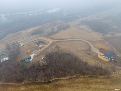 4038 Rock Creek Ct, Camanche, IA 52730 - photo 4