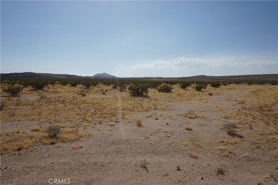 64825 Aberdeen Dr, Joshua Tree, CA 92252 - photo 6