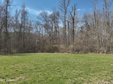 DJI_20250303113116_0007_V