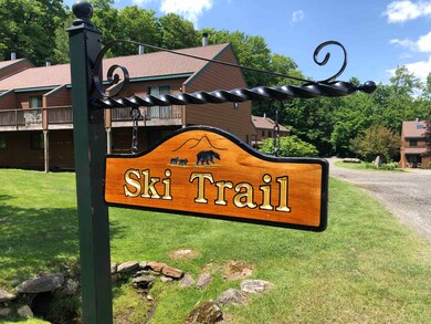 9C Polar Bear N, Dover, VT 05356 - photo 2