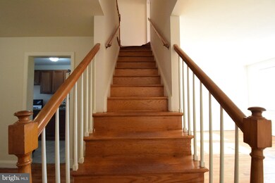 4434 Cedar Garden Rd, Baltimore, MD 21229 - photo 7