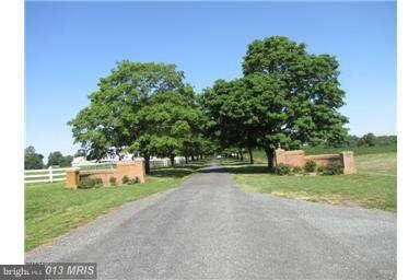 172 Gray Fox Farm Ln, Centreville, MD 21617 - photo 3