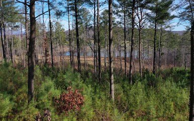 362 Mountainside Pkwy, Ellijay, GA 30536 - photo 2