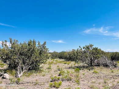 2074 W Critter Pass, Williams, AZ 86046 - photo 3