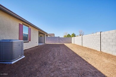 Backyard2