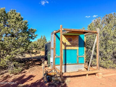 2902 S Goldenrod Dr, Williams, AZ 86046 - photo 5