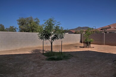 Backyard1