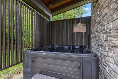 Unit 3 hottub