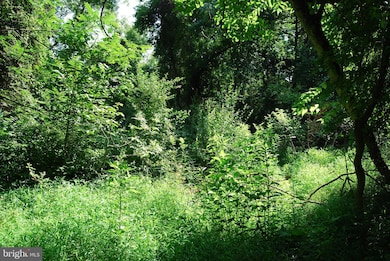 Lot 31A Dawn Ln, Shannondale, WV 25425 - photo 6