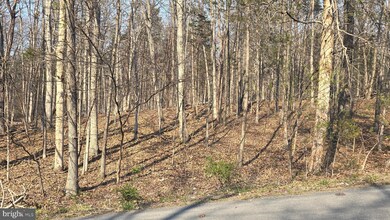 0 Hudson Hollow Rd, Stephens City, VA 22655 - photo 2