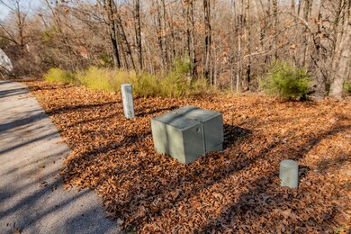 Lot #1 Raven Oak Dr, Kimberling City, MO 65686 - photo 5