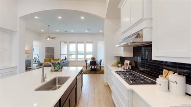 24963 Resort Pkwy, San Antonio, TX 78261 - photo 5