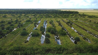 15325 9th St SW, Vero Beach, FL 32968 - photo 5