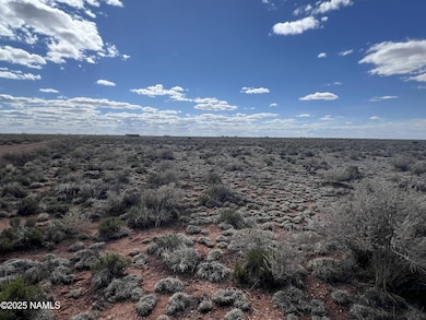2331 E Doris Dr, Valle, AZ 86046 - photo 4