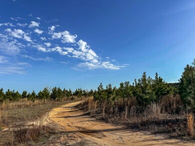 0 Rd, Lumpkin, GA 31815 - photo 4