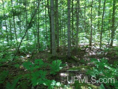 TBD E Shore Rd, Bergland, MI 49910 - photo 3