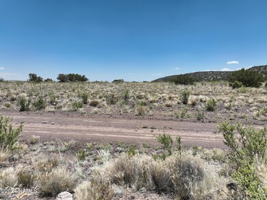 DJI_20240615122531_0037_V