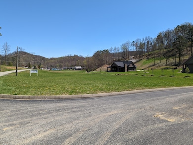 3 Weldon Pointe, Corbin, KY 40701 - photo 2