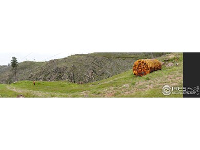 248 Saddle Ridge Rd, Bellvue, CO 80512 - photo 2