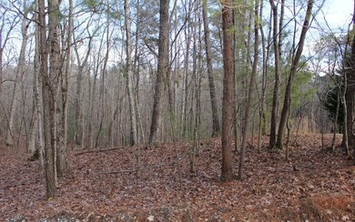 Additional View