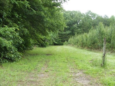 659 Old Mansion Rd unit A, Lunenburg Court House, VA 23952 - photo 3