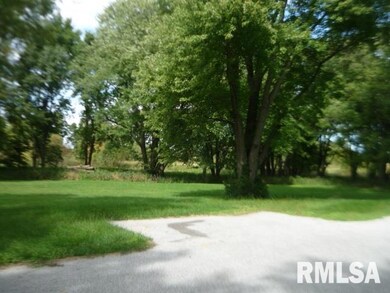 28909 Ropp Rd, Geneseo, IL 61254 - photo 3