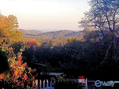 734 Grandview Dr, Altoona, AL 35952 - photo 6