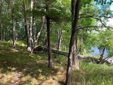 2.6 Ac State Highway 180, Porterfield, WI 54159 - photo 5