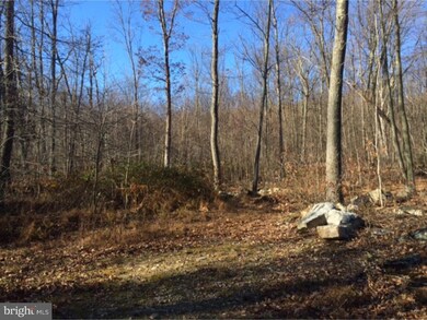 321 Blue Rocks Rd, Lenhartsville, PA 19534 - photo 2