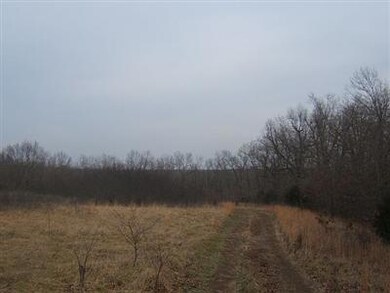 0 State Highway 248 unit 11101535, Jenkins, MO 65605 - photo 7