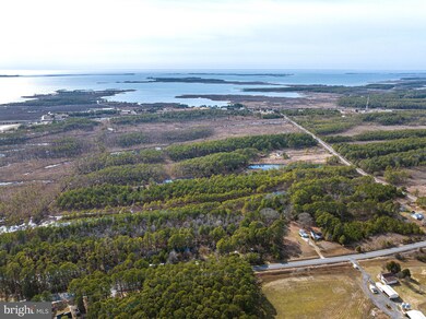 2439 Toddville Rd, Wingate, MD 21675 - photo 5