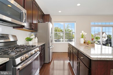 23269 Carters Meadow Terrace, Ashburn, VA 20148 - photo 6