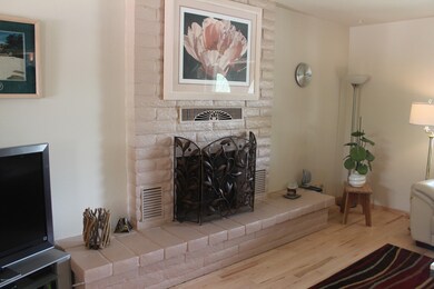 Wood Burning Fireplace