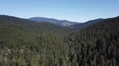 19265 Usfs Route 1 None, Korbel, CA 95550 - photo 6