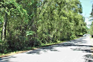 xx Azalea Dr unit 11, Crawfordville, FL 32327 - photo 7