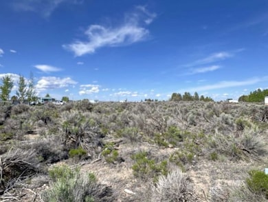 0 Maple Cir N unit 3007588, Christmas Valley, OR 97641 - photo 6