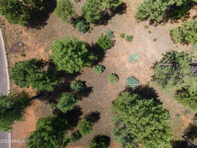 240 Summerberry Dr unit 24, Show Low, AZ 85901 - photo 6