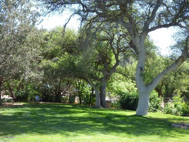 Front yard
