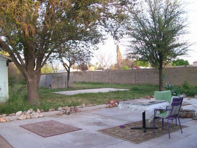 Backyard1