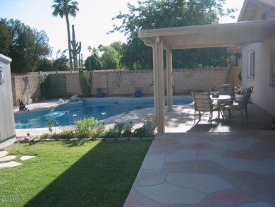 Backyard 2