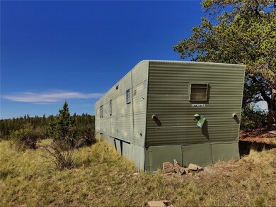 1369 Remington Rd, Como, CO 80432 - photo 5