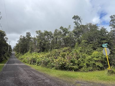 0 Apuakehau Rd unit 725837, Volcano, HI 96785 - photo 4