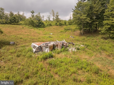 1055 Old Wilson Rd, Swanton, MD 21561 - photo 5