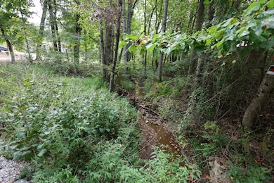 245 Woolf Pass Ln, Sparta, TN 38583 - photo 4