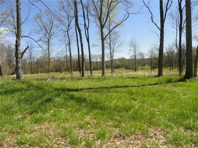 0 Horse Mountain Rd unit RTC1267446, Shelbyville, TN 37160 - photo 3