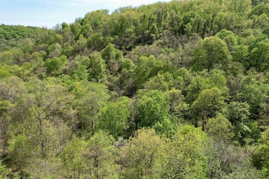 2831 Kelly Hollow Rd, Monongahela, PA 15063 - photo 6