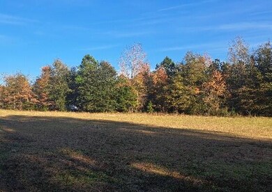 01 Joby Ln unit 4, Eutawville, SC 29048 - photo 3