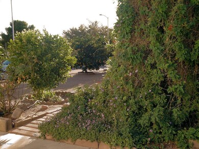 Yard bordering driveway